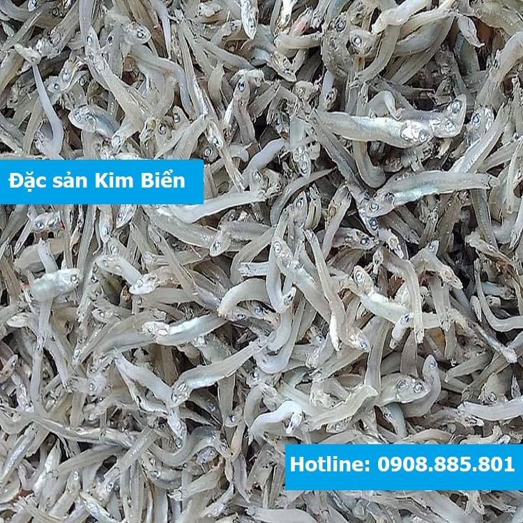 Cá cơm mờm Nha Trang